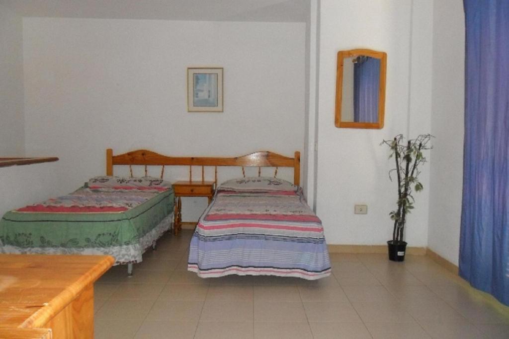Apartamentos Alondras Park Costa Del Silencio Dış mekan fotoğraf
